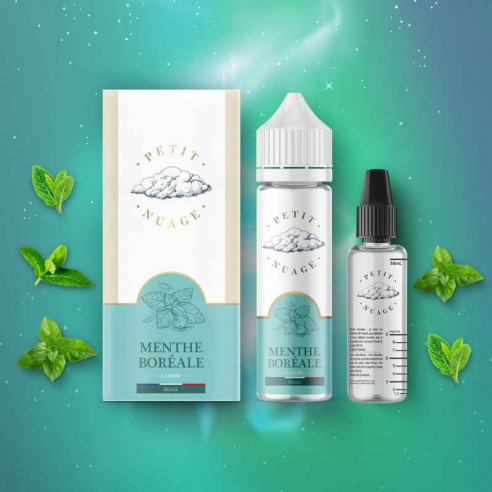 E-liquide Menthe Boréale 60ml - Petit...
