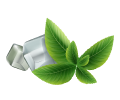 Menthe